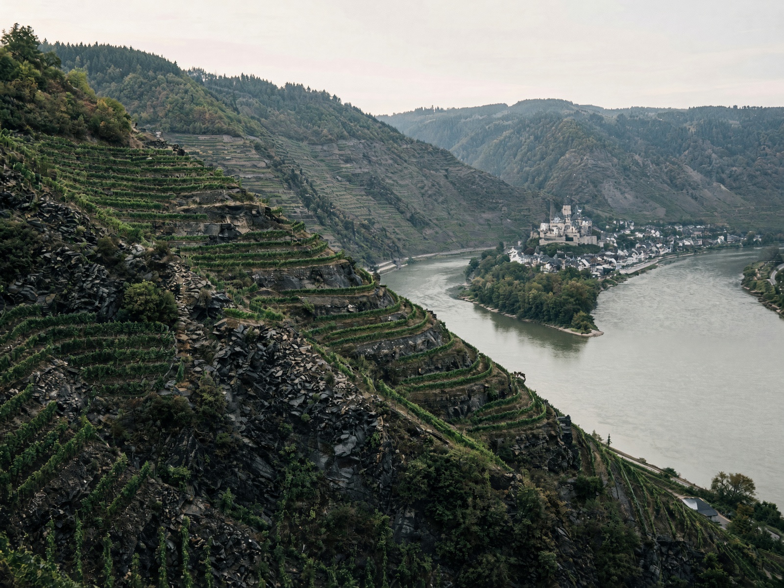 Steep Mosel slate terraces