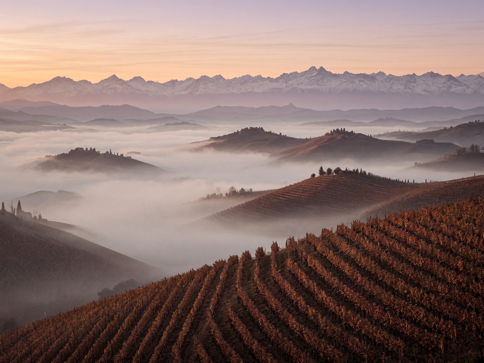 Fog in the Langhe hills